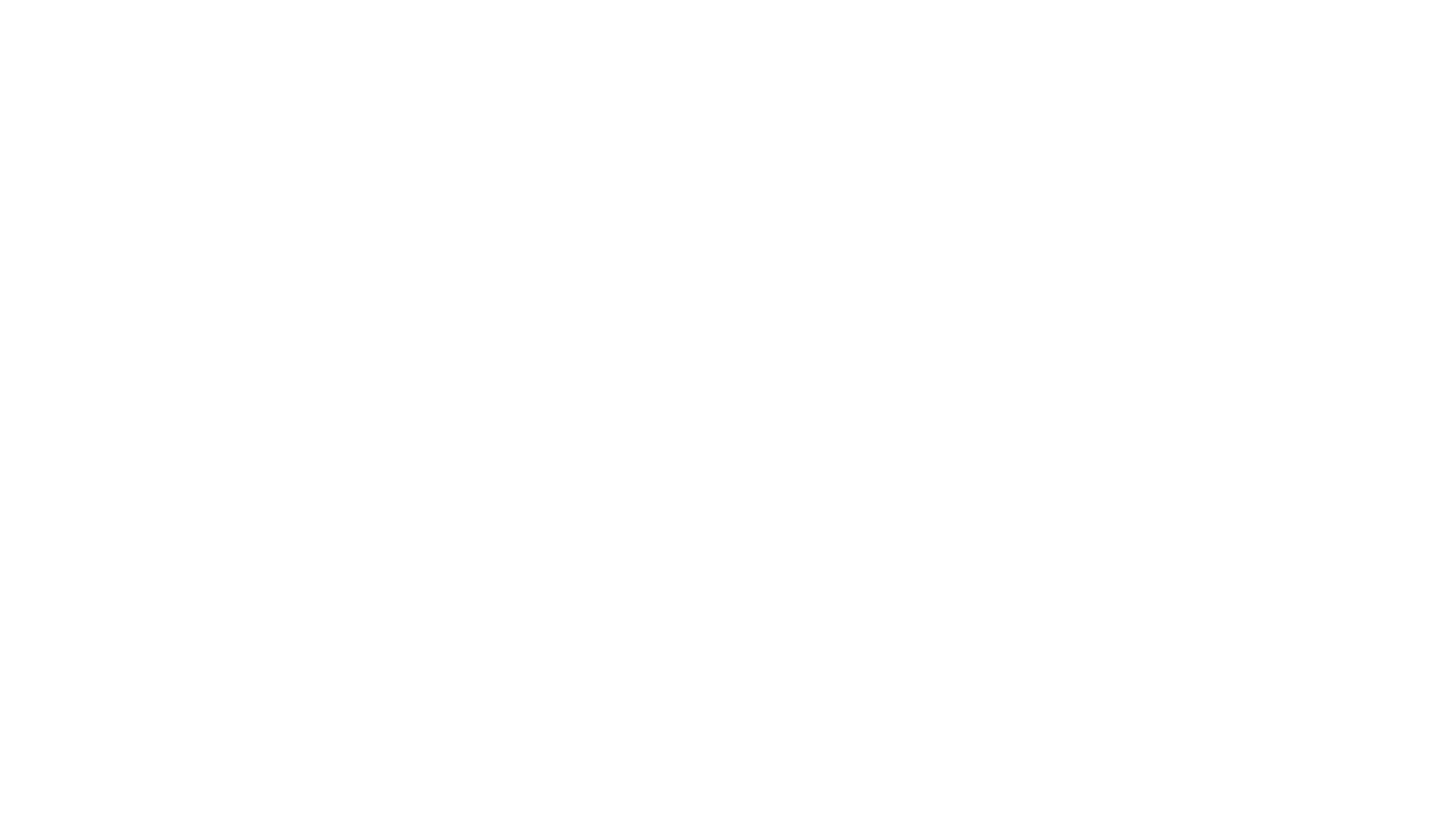 Logo Zonatto